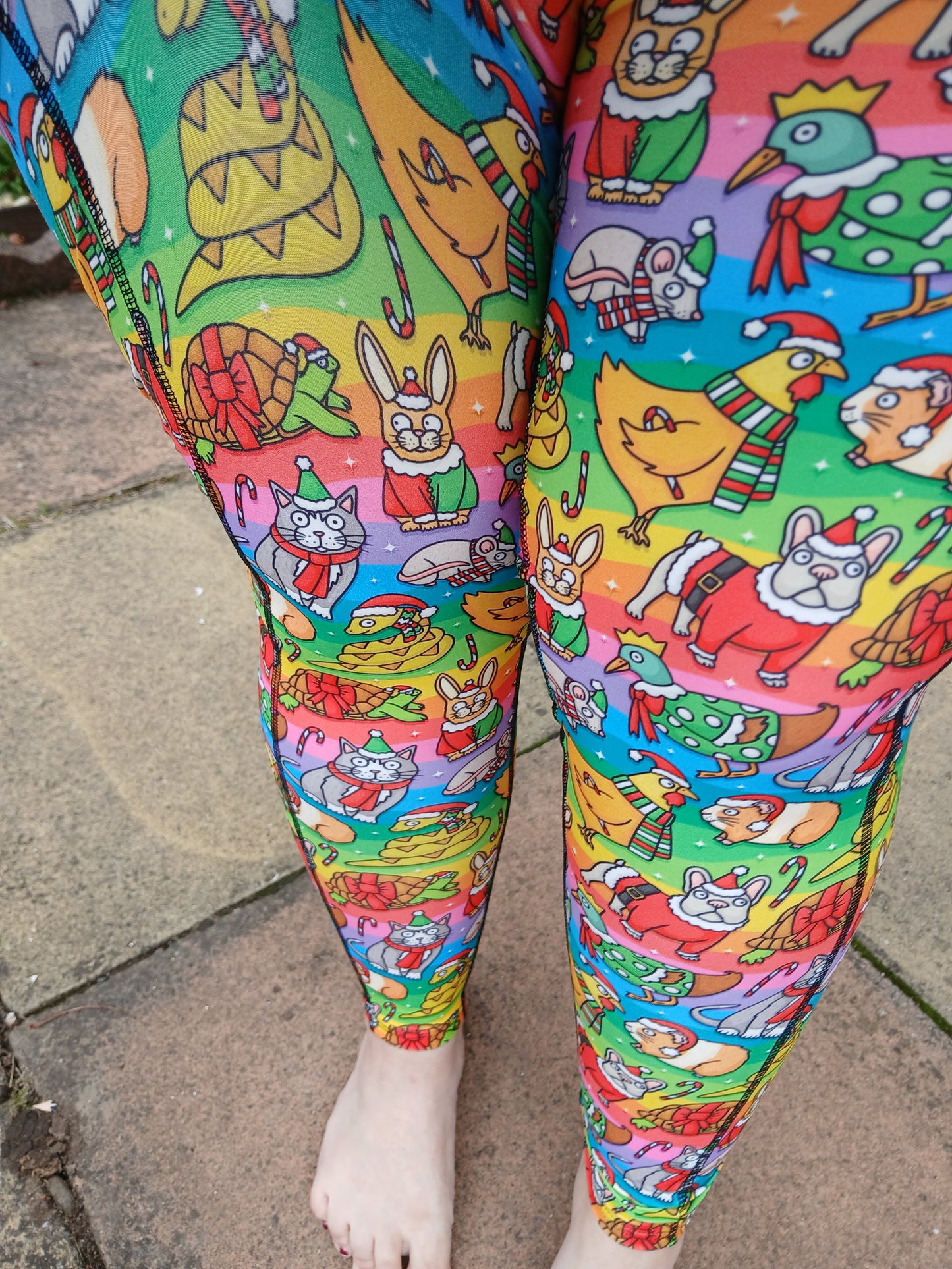 Christmas pets yoga POCKETS