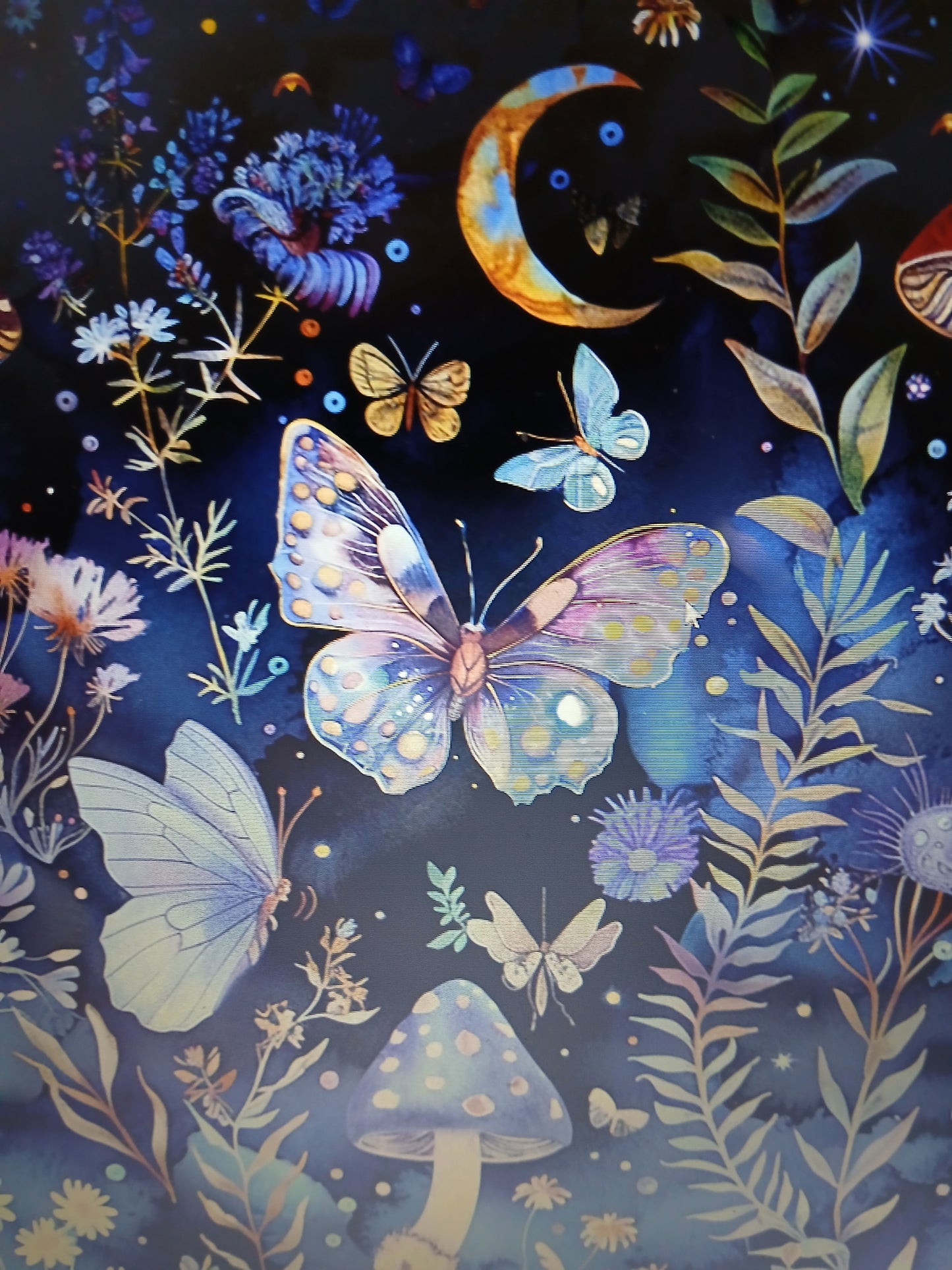 Butterfly and mushroom YOGA