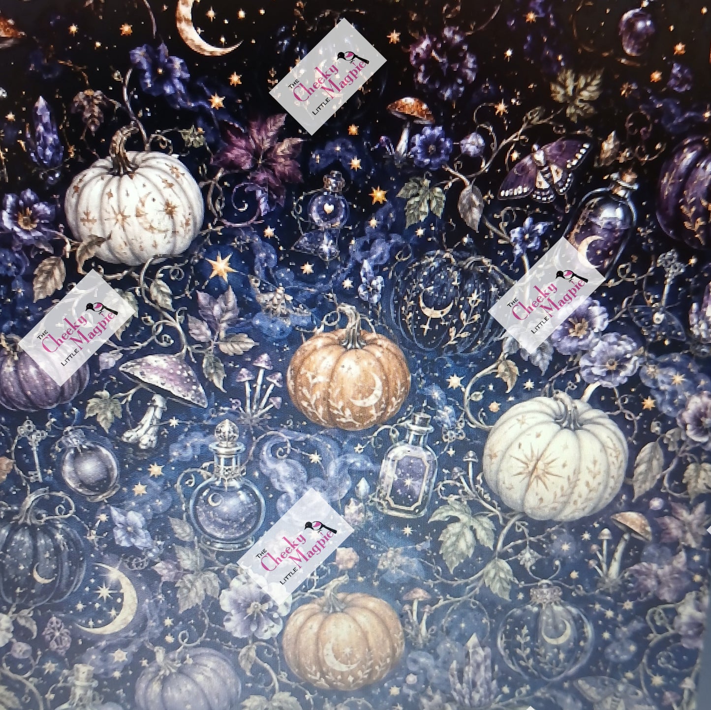 PRE ORDER witchy pumpkins capri POCKETS