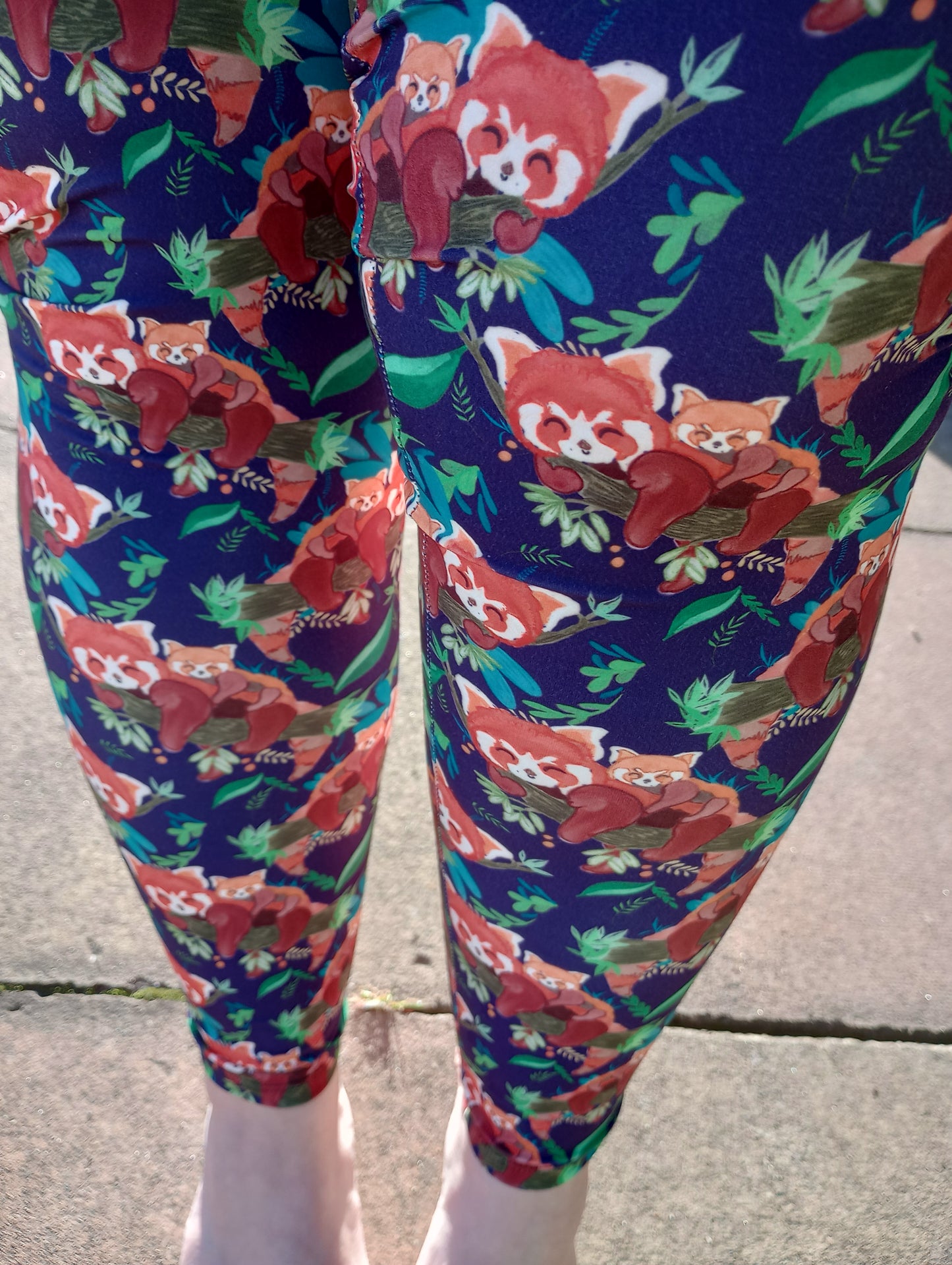 Red Pandas KIDS (Purple background)