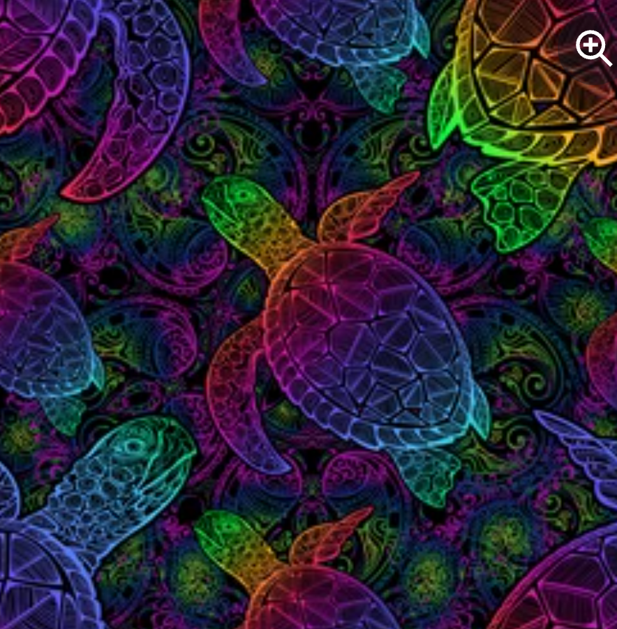 Turtle KIDS