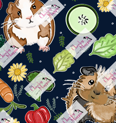 Guinea pig yoga leggings POCKETS