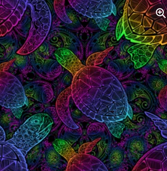 Turtle KIDS
